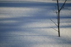 DSC_2208.jpg