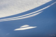 DSC_2219.jpg