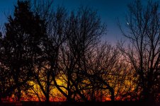 Red Dawn-0459.jpg