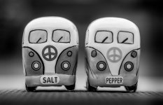 B-W Salt & Pepper Pot.jpg