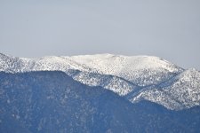 ROY_5108.JPG