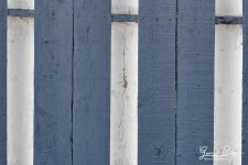 W_DSC_4354.jpg