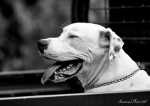 DSC_4401.jpg
