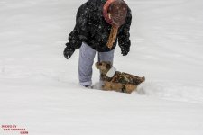 Jersy Girl in Snow-3382.jpg