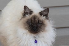 DSC_0574.jpg