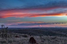 Pan b (1 of 1).jpg