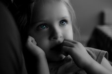 D71_1323C.jpg