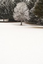 W_DSC_4363.jpg