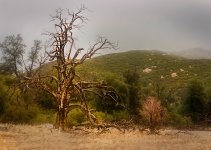PSH_3094-2.jpg