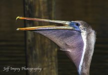 DSC_7655.jpg