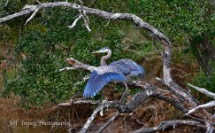 DSC_7761.jpg