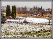 1-750_5711-Edit.jpg