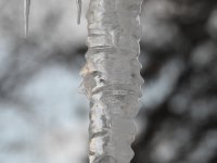 DSCN2928.jpg