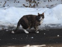 DSCN2935.jpg