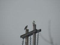 DSCN2941.jpg