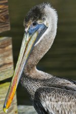 DSC_7633.jpg