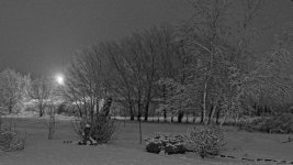 1-750_5794-Edit-003.jpg