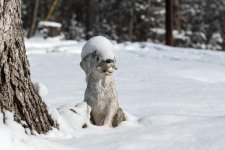 DSC_0565.jpg
