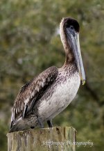 DSC_7829.jpg
