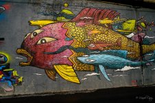 DSC_2265.jpg