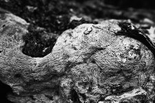 PSH_3289-Small.jpg