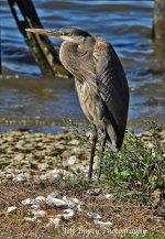 DSC_8084.jpg