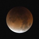 Moon.jpg