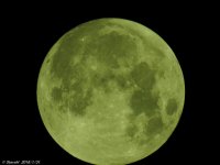 DSCN2979.jpg