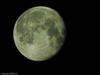 DSCN2990-1.jpg