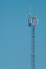 fortkentdad Nikonites.jpg