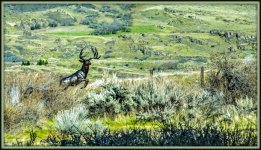 750_6080-Edit.jpg