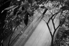 Nikonites B&W-3824.jpg