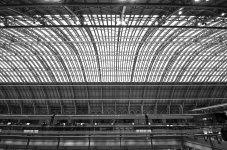 Nikonites B&W-6543.jpg