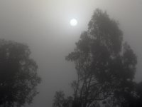 Sun.jpg