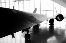Nikonites B&W-7302.jpg