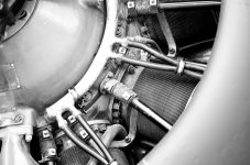 Nikonites B&W-7373.jpg