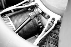 Nikonites B&W-7380.jpg