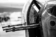 Nikonites B&W-7179.jpg