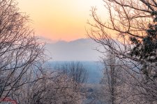 Morning Glimmer-3533.jpg