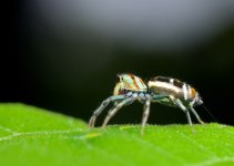 DSC_5075.jpg