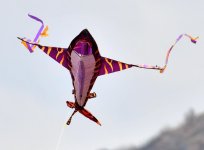 ROY_7107.jpg