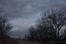 02-10-18-cr__7504248.jpg
