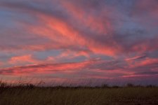 02-10-18-cr__7504249.jpg