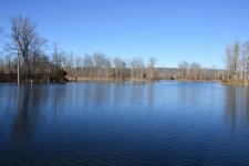 Benjy Kinman Lake_00017.jpg