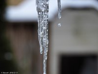 DSCN3010.jpg