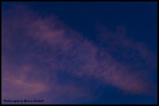 Day100Cloud.jpg