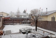 April Snow 2.jpg