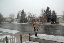 April Snow.jpg