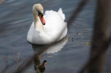 DSC_5810.jpg