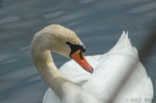 DSC_5811.jpg